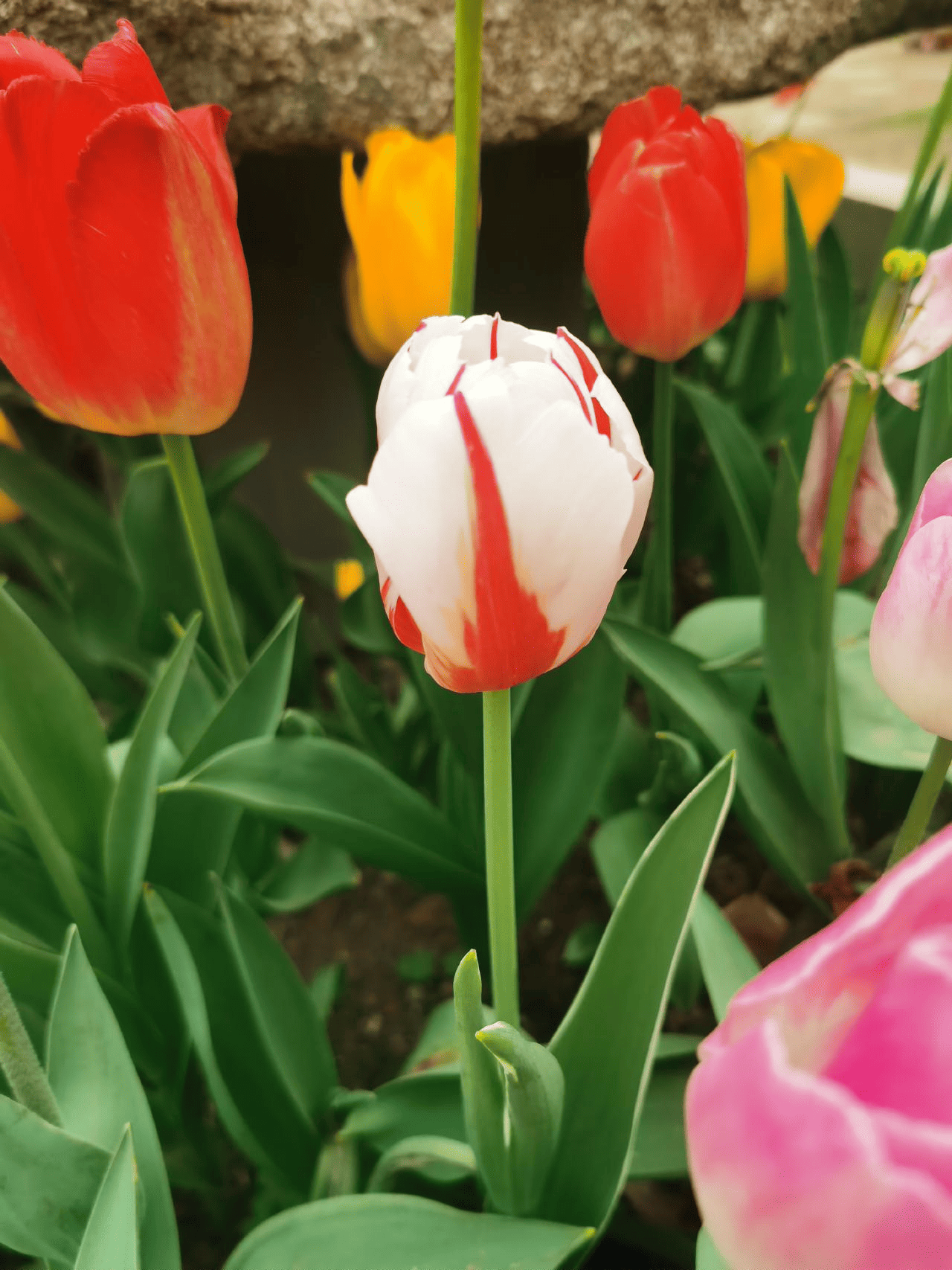 足迹-杭州太子湾